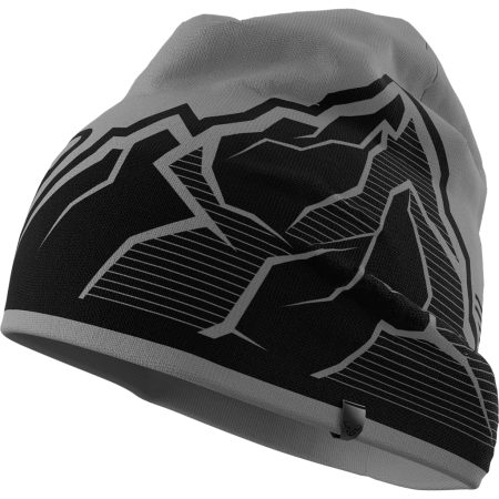 Czapka Dynafit GRAPHIC BEANIE