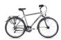 ROWER UNIBIKE VISION MĘSKI GRAFITOWY