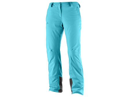 Spodnie narciarskie Salomon ICEMANIA W blue bird