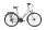 ROWER UNIBIKE VISION DAMSKI SZAMPAŃSKI/2025