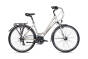 ROWER UNIBIKE VISION DAMSKI SZAMPAŃSKI/2025